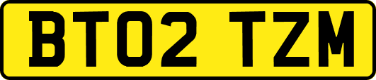 BT02TZM