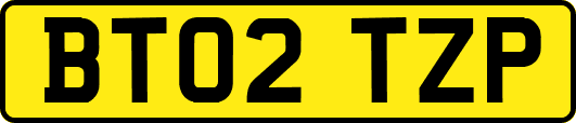 BT02TZP