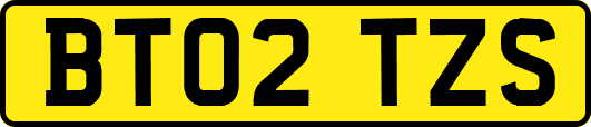 BT02TZS