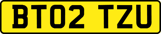 BT02TZU