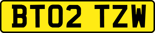 BT02TZW