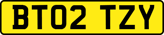 BT02TZY