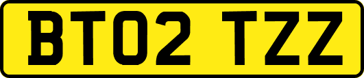 BT02TZZ