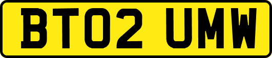 BT02UMW
