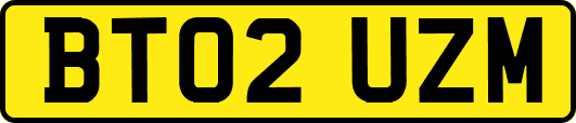 BT02UZM