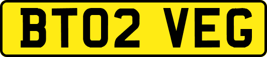BT02VEG