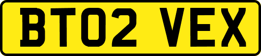 BT02VEX