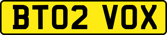 BT02VOX