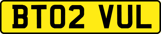 BT02VUL