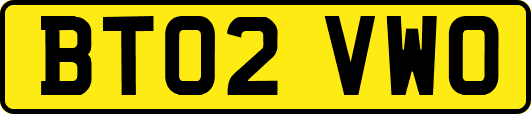 BT02VWO
