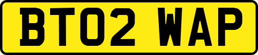 BT02WAP