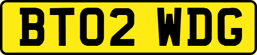 BT02WDG