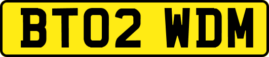 BT02WDM