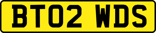 BT02WDS