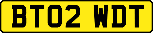 BT02WDT