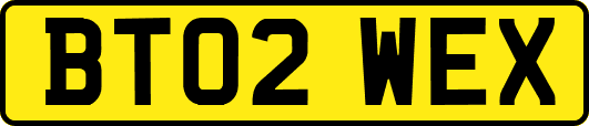 BT02WEX