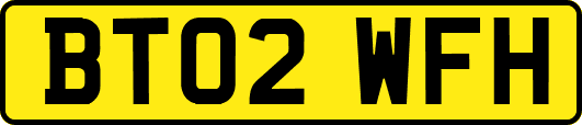 BT02WFH