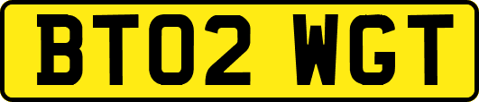 BT02WGT