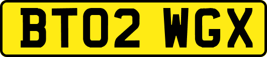 BT02WGX