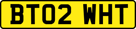 BT02WHT