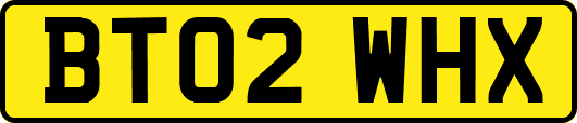 BT02WHX