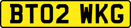 BT02WKG