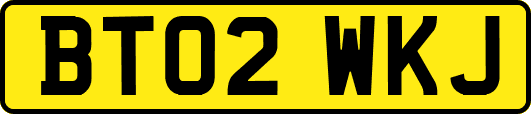 BT02WKJ