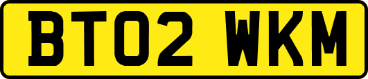 BT02WKM