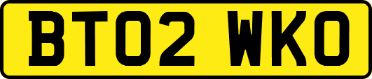 BT02WKO