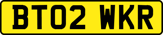 BT02WKR