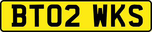 BT02WKS
