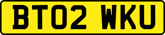 BT02WKU