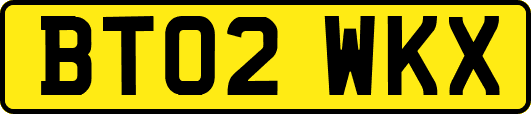 BT02WKX
