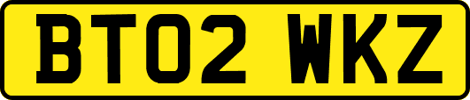 BT02WKZ