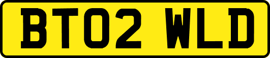 BT02WLD