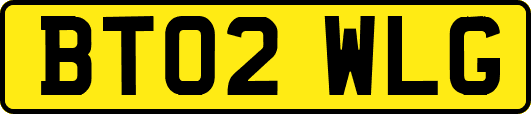 BT02WLG