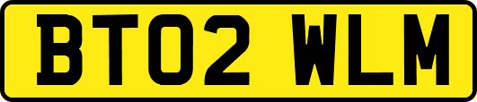 BT02WLM