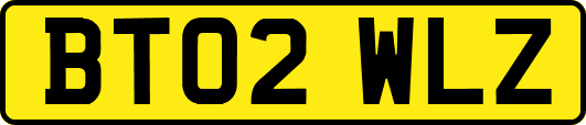 BT02WLZ