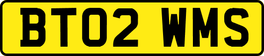 BT02WMS