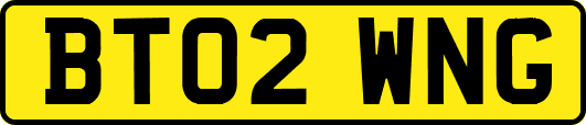 BT02WNG