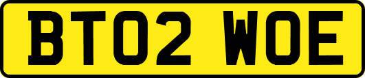 BT02WOE