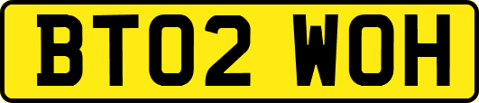 BT02WOH