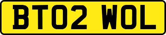 BT02WOL