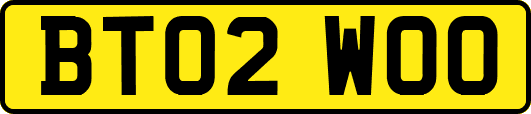BT02WOO