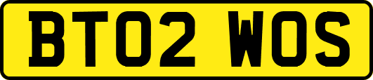 BT02WOS