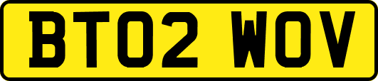BT02WOV