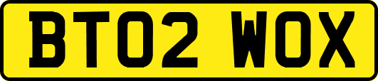 BT02WOX