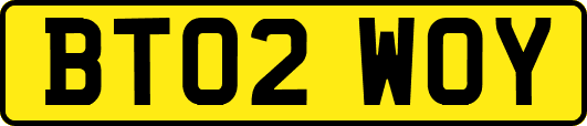 BT02WOY