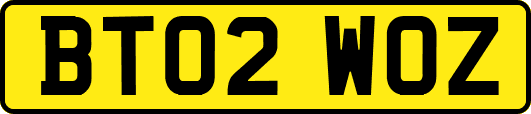 BT02WOZ