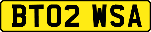 BT02WSA